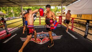 Bull Muay Thai