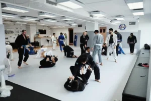 Arete Brazilian Jiu-Jitsu