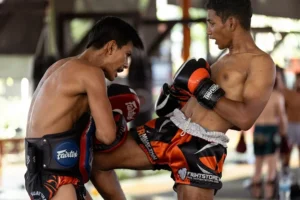 Tiger Muay Thai