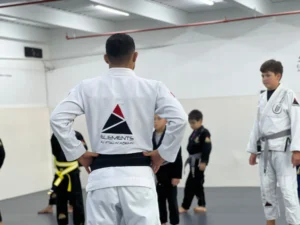 Elements Jiu Jitsu Academy
