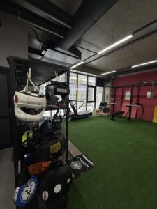 Wolf’s Academy Tbilisi